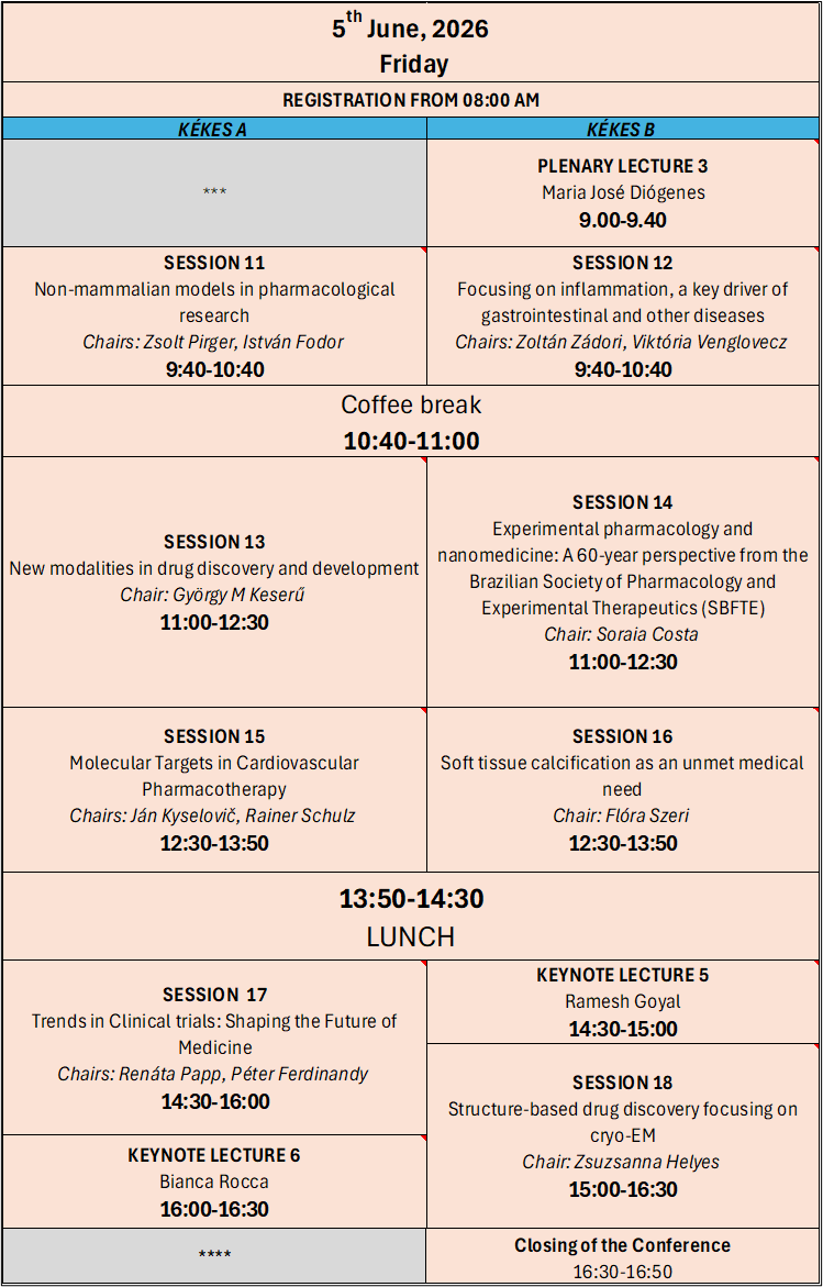FRIDAY WEBSITE (1) (1)